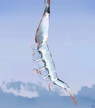 2022 12 22